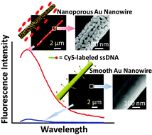 Graphical abstract: Single nanoporous gold nanowire as a tunable one-dimensional platform for plasmon-enhanced fluorescence