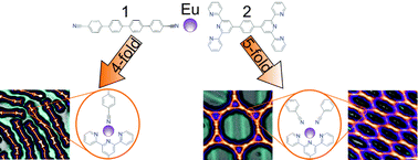 Graphical abstract: Tunable lanthanide-directed metallosupramolecular networks by exploiting coordinative flexibility through ligand stoichiometry