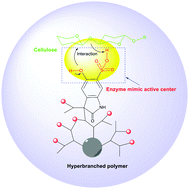 Graphical abstract: Water-soluble sulfonated hyperbranched poly(arylene oxindole) catalysts as functional biomimics of cellulases