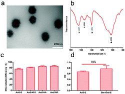 Graphical abstract: Intracellular delivery of biomineralized monoclonal antibodies to combat viral infection