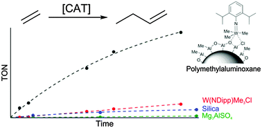 Graphical abstract: Tungsten imido catalysts for selective ethylene dimerisation