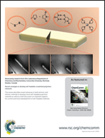 Graphical abstract: Inside back cover