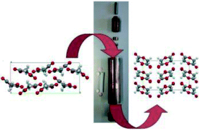 Graphical abstract: Polymorphism of a polymer precursor: metastable glycolide polymorph recovered via large scale high-pressure experiments