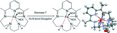 Graphical abstract: Towards synergy between spin-crossover and metal–ligand bond break in molecular crystals: structural investigations of eight seven-coordinated Fe(ii) macrocyclic complexes