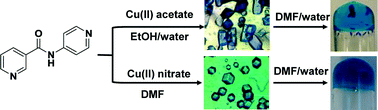 Graphical abstract: Selective gelation of N-(4-pyridyl)nicotinamide by copper(ii) salts