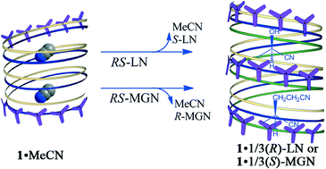 Graphical abstract: Optical recognition of alkyl nitrile by a homochiral iron(ii) spin crossover host