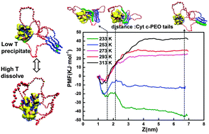 Graphical abstract: How ABA block polymers activate cytochrome c in toluene: molecular dynamics simulation and experimental observation