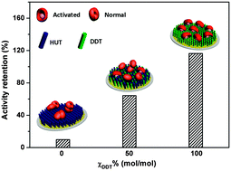 Graphical abstract: Activation and deformation of immobilized lipase on self-assembled monolayers with tailored wettability