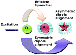 Graphical abstract: Tailoring of optical properties of fluorescein using green synthesized gold nanoparticles