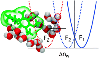 Graphical abstract: Photosynthetic diode: electron transport rectification by wetting the quinone cofactor