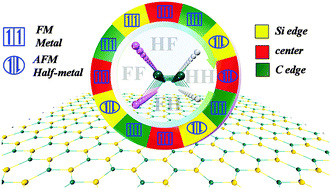 Graphical abstract: Adsorbing a PVDF polymer via noncovalent interactions to effectively tune the electronic and magnetic properties of zigzag SiC nanoribbons