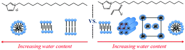 Graphical abstract: Characterization of the phase behaviour of a novel polymerizable lyotropic ionic liquid crystal