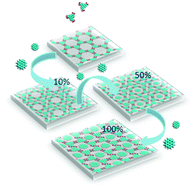 Graphical abstract: Solution concentration controlled self-assembling structure with host–guest recognition at the liquid–solid interface