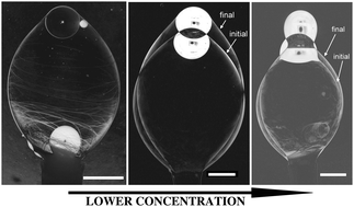 Graphical abstract: Dynamic interface tension of a smectic liquid crystal in anionic surfactant solutions