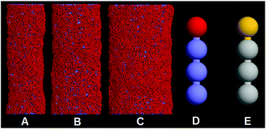 Graphical abstract: Inter-tube adhesion mediates a new pearling mechanism