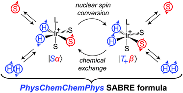Graphical abstract: A simple analytical model for signal amplification by reversible exchange (SABRE) process