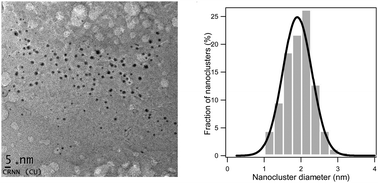 Graphical abstract: Fluorescent Ag nanoclusters prepared in aqueous poly(acrylic acid-co-maleic acid) solutions: a spectroscopic study of their excited state dynamics, size and local environment