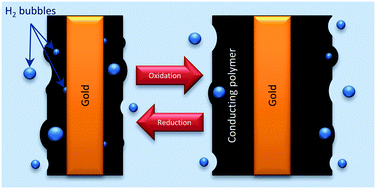 Graphical abstract: Electrochemo-dynamical characterization of polypyrrole actuators coated on gold electrodes