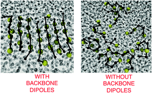 Graphical abstract: Interplay between the hydrophobic effect and dipole interactions in peptide aggregation at interfaces