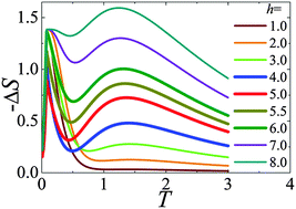 Graphical abstract: The magnetocaloric effect with critical behavior of a periodic Anderson-like organic polymer