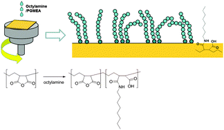 Graphical abstract: Surface grafting of octylamine onto poly(ethylene-alt-maleic anhydride) gate insulators for low-voltage DNTT thin-film transistors