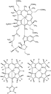 Graphical abstract: Electronically excited states of cob(ii)alamin: insights from CASSCF/XMCQDPT2 and TD-DFT calculations