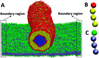 Graphical abstract: How tubular aggregates interact with biomembranes: wrapping, fusion and pearling