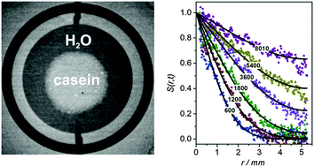 Graphical abstract: Water ingress into a casein film quantified using time-resolved neutron imaging