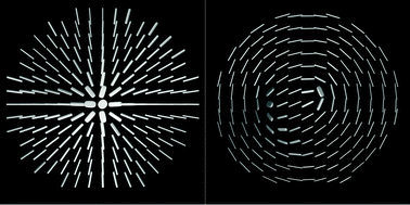 Graphical abstract: Director orientations in lyotropic liquid crystals: diffusion MRI mapping of the Saupe order tensor