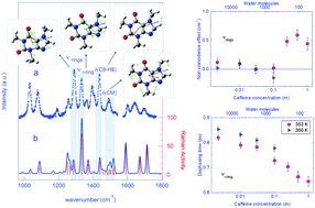 Graphical abstract: Stacking of purines in water: the role of dipolar interactions in caffeine