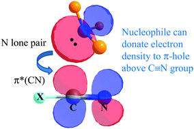 Graphical abstract: Comparison of π-hole tetrel bonding with σ-hole halogen bonds in complexes of XCN (X = F, Cl, Br, I) and NH3