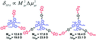Graphical abstract: Photophysical properties of octupolar triazatruxene-based chromophores