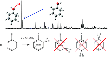 Graphical abstract: Hydrogen-atom attack on phenol and toluene is ortho-directed