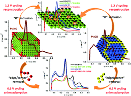 Graphical abstract: Reconstruction and dissolution of shape-controlled Pt nanoparticles in acidic electrolytes