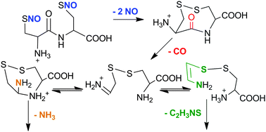 Graphical abstract: Transnitrosylation products of the dipeptide cysteinyl–cysteine: an examination by tandem mass spectrometry and density functional theory