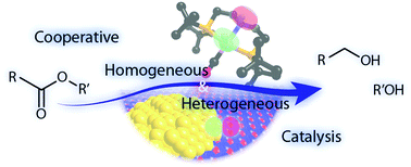Graphical abstract: Heterogeneous and homogeneous catalysis for the hydrogenation of carboxylic acid derivatives: history, advances and future directions