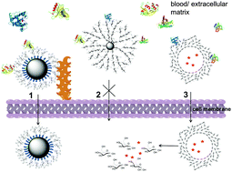 Graphical abstract: Carbohydrate nanocarriers in biomedical applications: functionalization and construction
