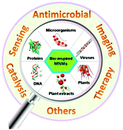 Graphical abstract: Bio-inspired synthesis of metal nanomaterials and applications