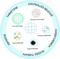 Graphical abstract: Stimuli-responsive nanogel composites and their application in nanomedicine