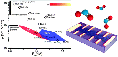 Graphical abstract: Electronic transport properties of transition metal dichalcogenide field-effect devices: surface and interface effects