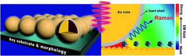 Graphical abstract: Dielectric shell isolated and graphene shell isolated nanoparticle enhanced Raman spectroscopies and their applications