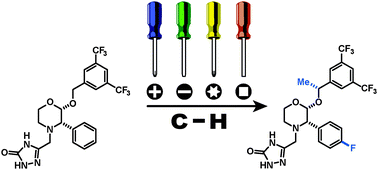 Graphical abstract: The medicinal chemist's toolbox for late stage functionalization of drug-like molecules