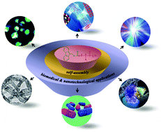 Graphical abstract: Fmoc-modified amino acids and short peptides: simple bio-inspired building blocks for the fabrication of functional materials