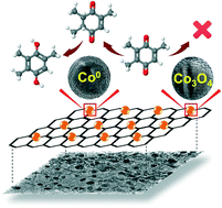 Graphical abstract: Reactivity and mechanism investigation of selective hydrogenation of 2,3,5-trimethylbenzoquinone on in situ generated metallic cobalt