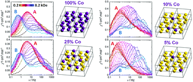 Graphical abstract: Exposing the intermolecular nature of the second relaxation pathway in a mononuclear cobalt(ii) single-molecule magnet with positive anisotropy