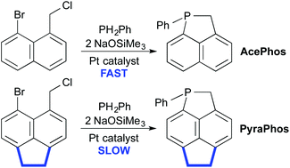 Graphical abstract: Synthesis of a phosphapyracene via metal-mediated cyclization: structural and reactivity effects of acenaphthene precursors