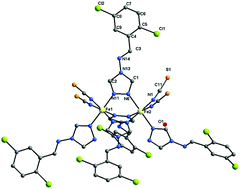 Graphical abstract: Thermal and light induced spin crossover behavior of a dinuclear Fe(ii) compound