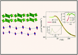 Graphical abstract: Magnetic properties of manganese based one-dimensional spin chains