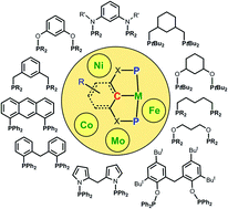 Graphical abstract: Non-precious metal complexes with an anionic PCP pincer architecture