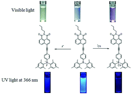 Graphical abstract: Triarylborane substituted naphthalimide as a fluoride and cyanide ion sensor